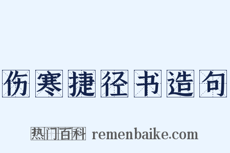 伤寒捷径书造句是什么意思的图片